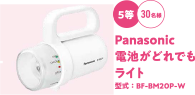 5等30名様 Panasonic 電池がどれでもライト